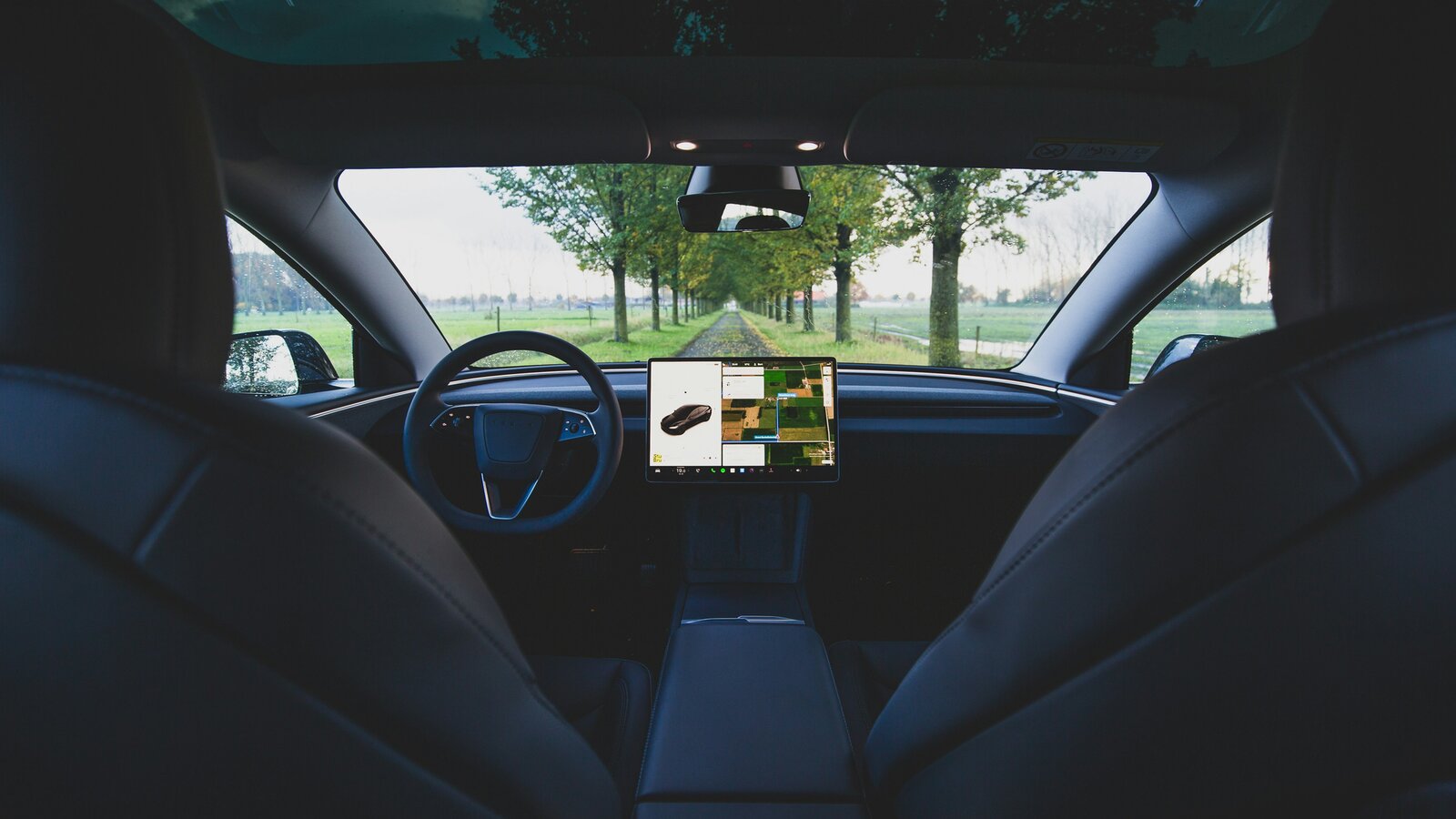 Blick aus dem Fond eines Tesla auf Cockpit und Baumallee